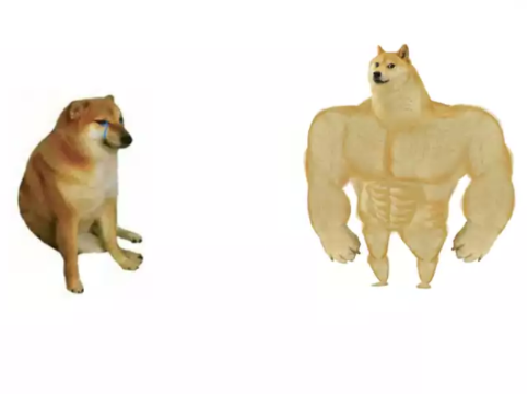 Plantilla de meme buff doge vs cheems reversed
