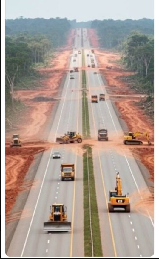 Plantilla de meme bulldozed 100,000 trees in the Amazon rainforest for a highway