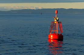 Plantilla de meme buoy
