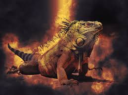 Plantilla de meme Burning iguana