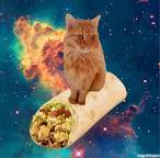 Template meme burrito cat in space