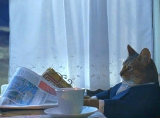 Plantilla de meme business cat wants pizza
