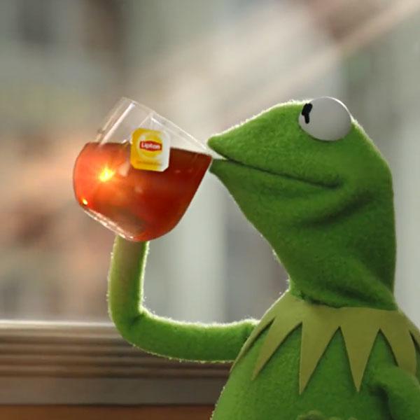 Template meme But That's None Of My Business