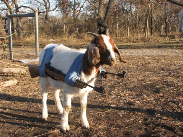 Template meme Call of Duty Goat