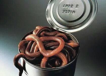 Plantilla de meme Can of Worms
