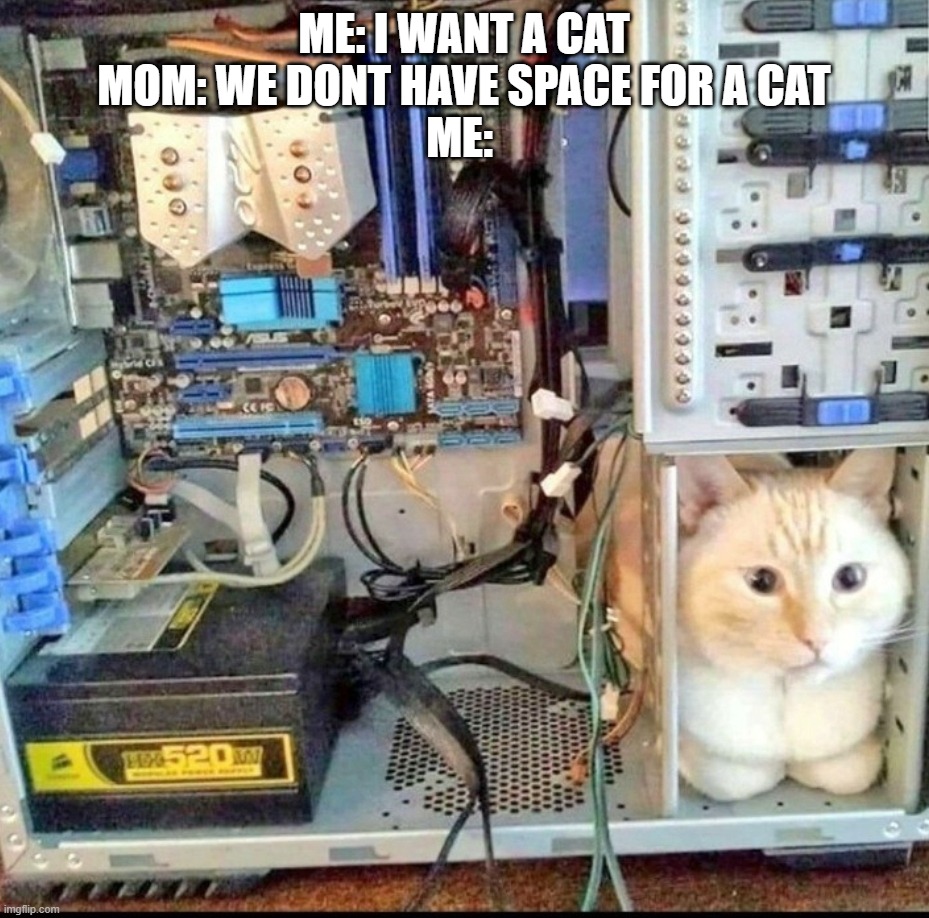 Template meme Can't Get a Cat Gaming PC
