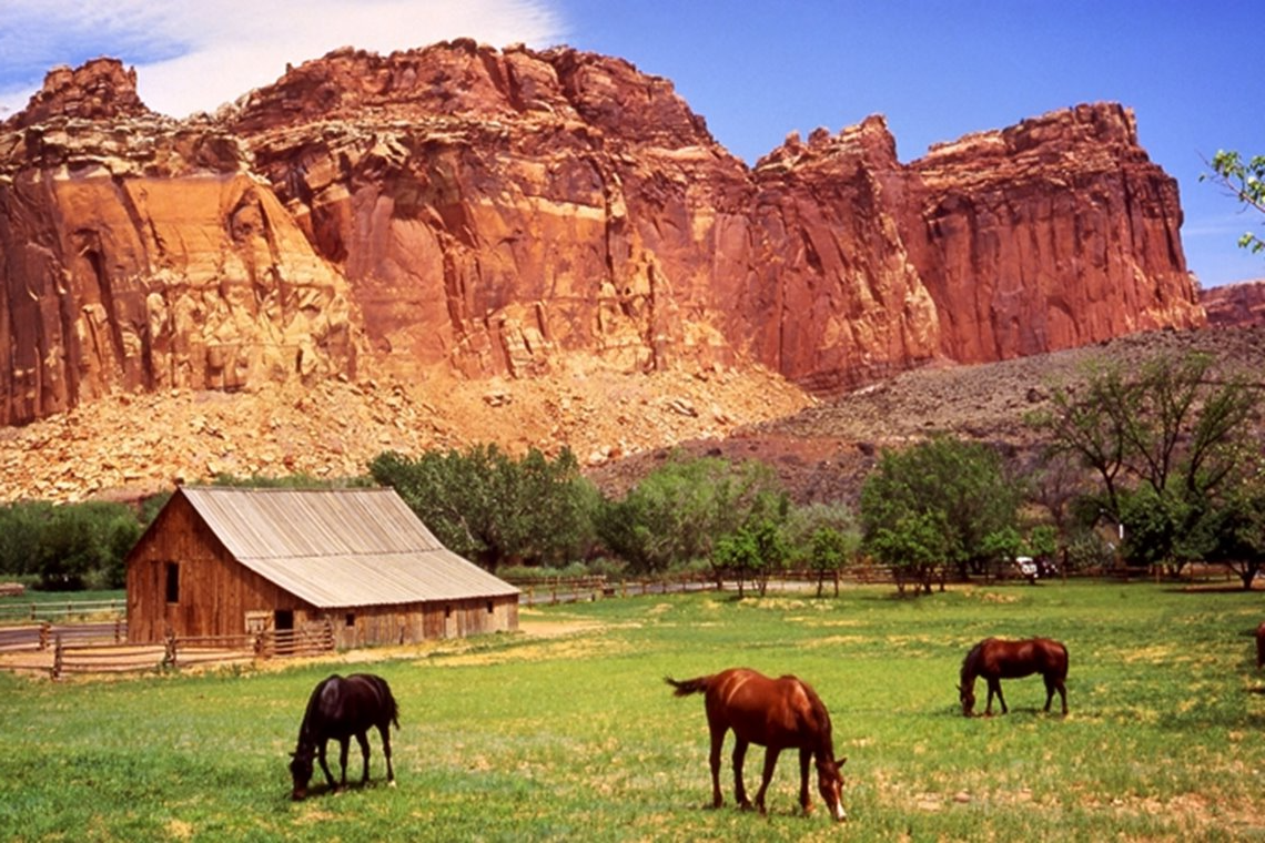 Plantilla de meme Capitol Reef