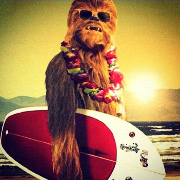 Template meme Casual Friday Chewbacca