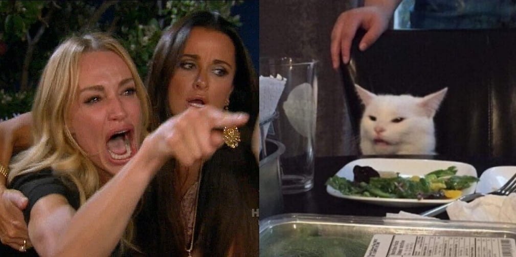 Template meme Cat a dinner table