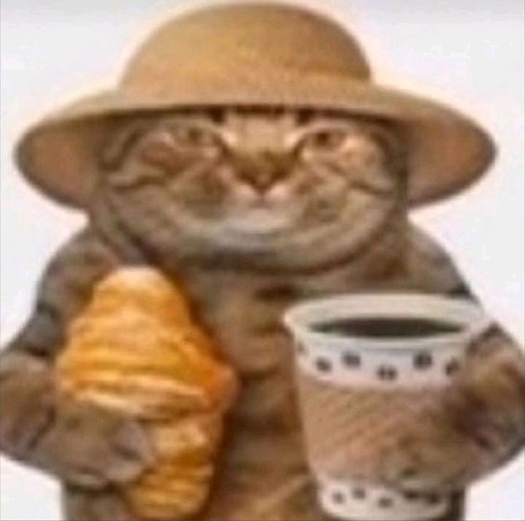 Plantilla de meme cat-coffee-croissant-hat-vacation