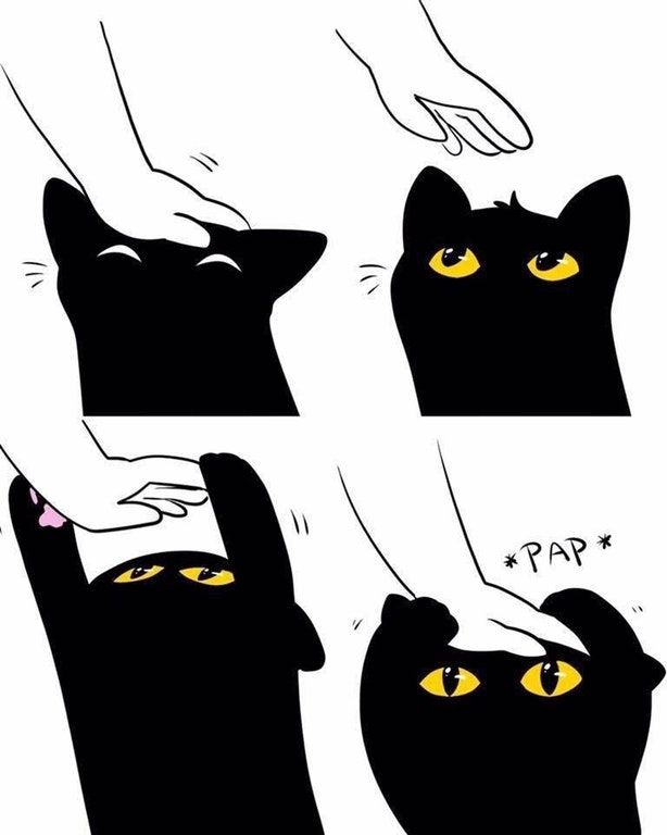 Plantilla de meme cat headpat meme