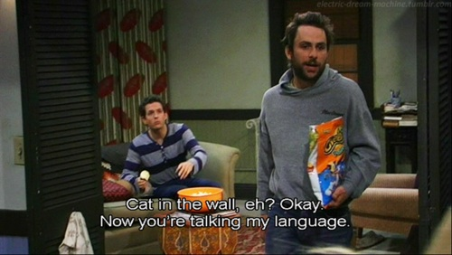 Template meme Cat in the Wall Charlie Kelly