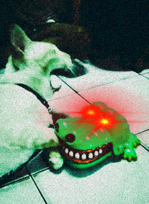Plantilla de meme cat vs alligator