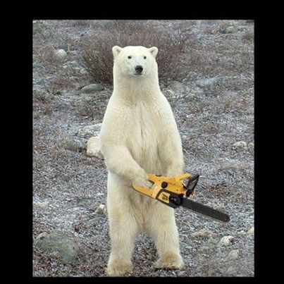 Plantilla de meme Chainsaw Bear