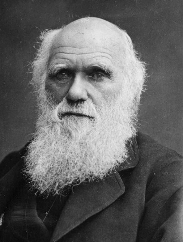 Plantilla de meme Charles Darwin