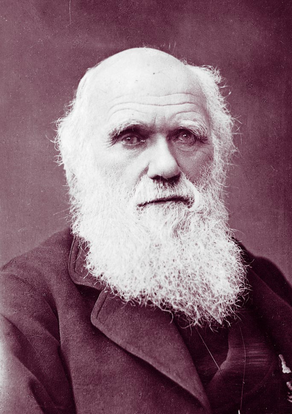 Plantilla de meme Charles Darwin Approves