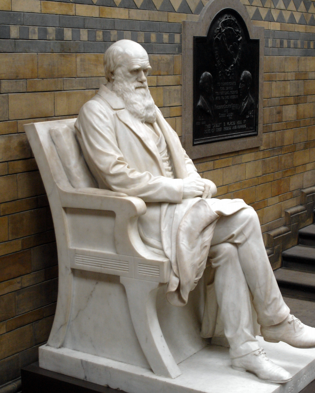 Plantilla de meme Charles Darwin Statue
