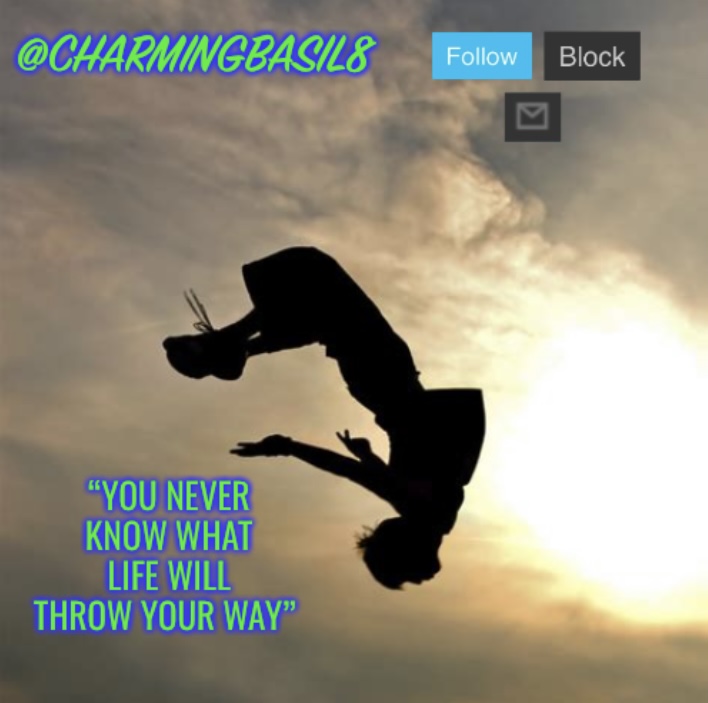 Template meme CharmingBasil8’s Personal Parkour Template