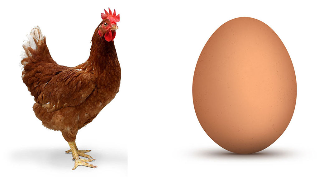 Template meme Chicken and egg