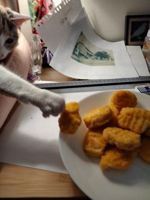 Plantilla de meme Chicken Nugget Thief