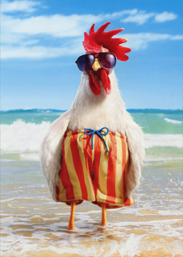Plantilla de meme chicken on vacation
