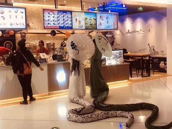 Template meme China Lastest Trends in fashion