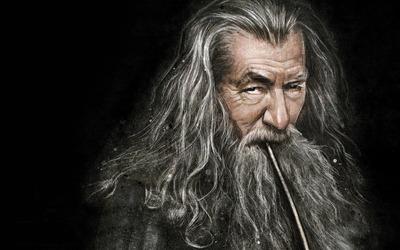 Plantilla de meme Clever Gandalf
