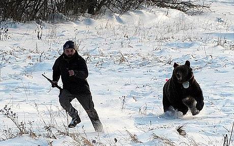 Plantilla de meme Confession Bear Chasing