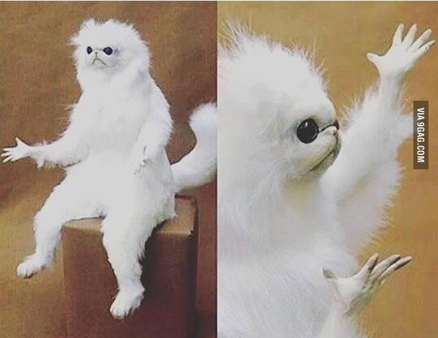 Plantilla de meme Confused white monkey