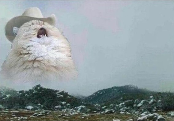 Plantilla de meme Country Cat