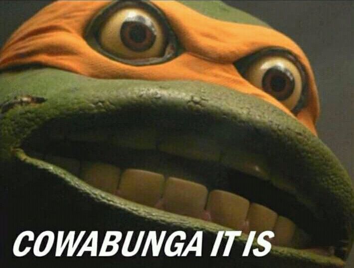Plantilla de meme Cowabunga it is