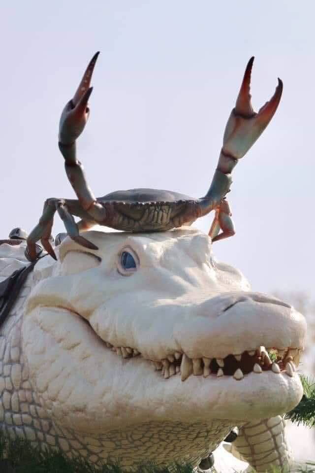 Plantilla de meme Crab on Crocodile