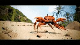 Plantilla de meme Crab rave gif