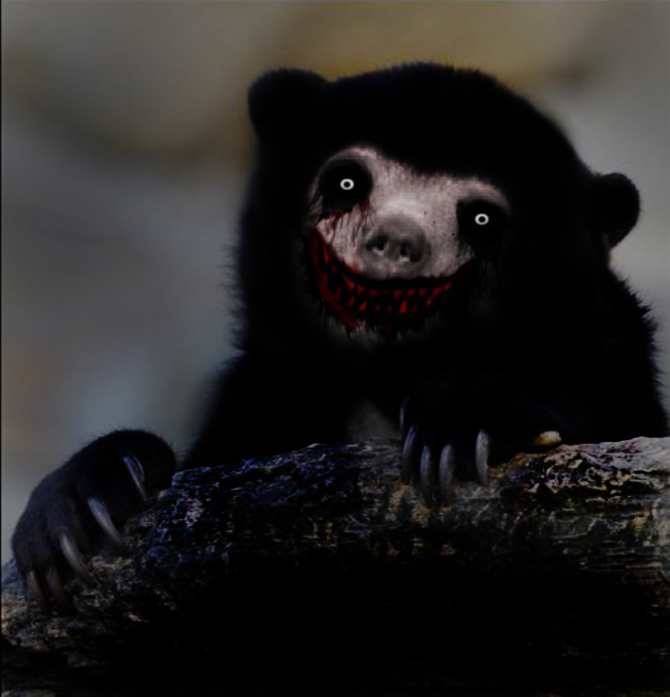 Plantilla de meme Creepy confession bear