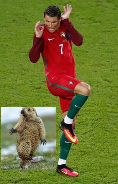 Template meme Cristiano Marmotto