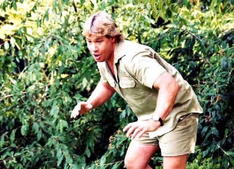 Plantilla de meme Crocodile Hunter Steve Irwin