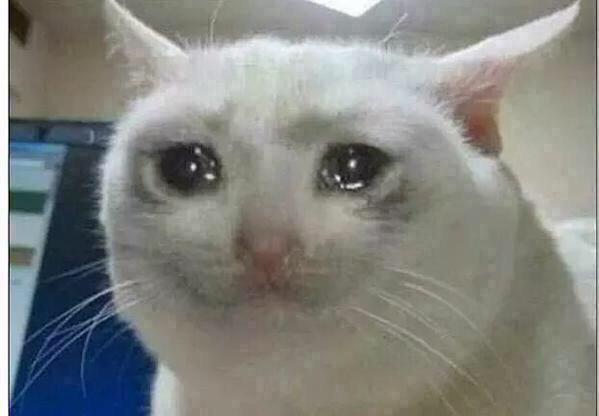 Plantilla de meme Crying cat
