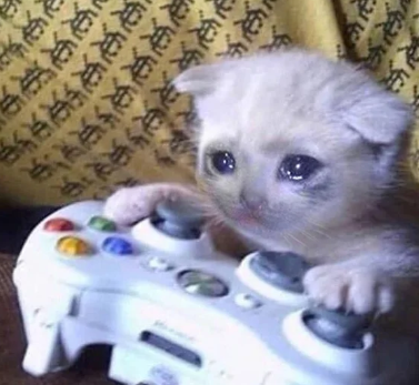 Plantilla de meme Crying cat xbox