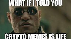 Plantilla de meme Crypto Memes