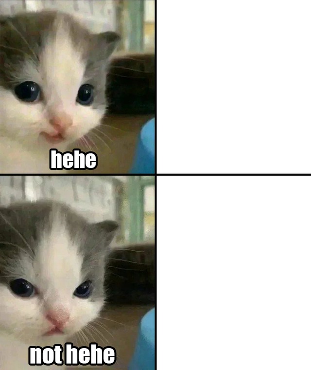 Template meme Cute cat hehe and not hehe