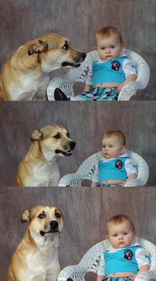 Plantilla de meme Dad Joke Dog