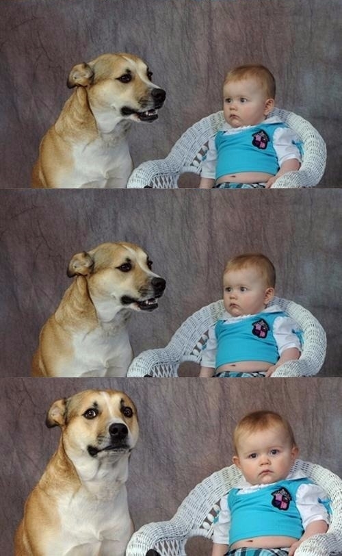 Plantilla de meme Dad Joke Dog 2