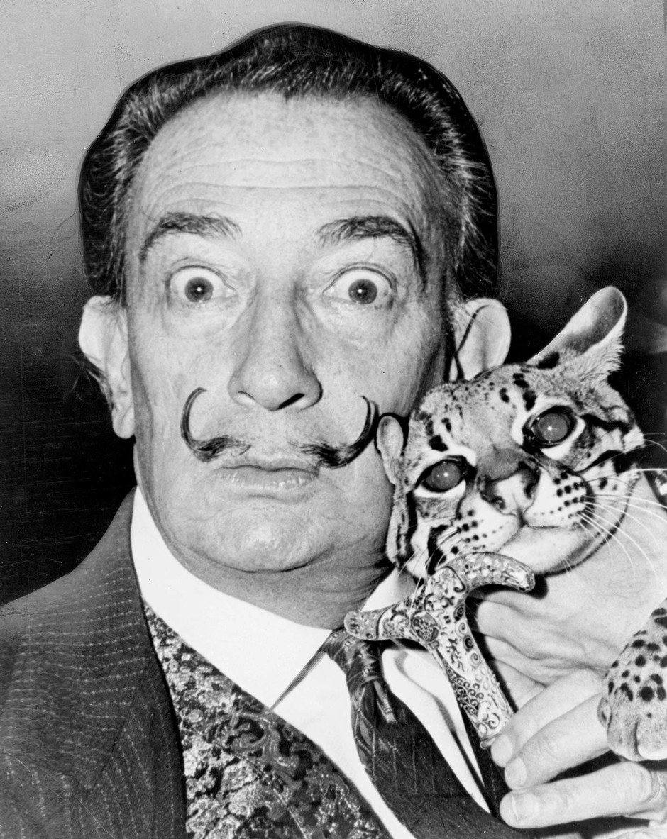 Plantilla de meme Dali with Cat