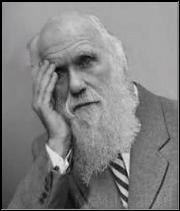 Plantilla de meme darwin facepalm
