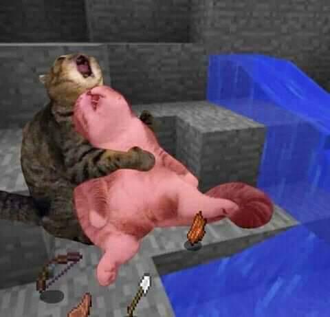 Plantilla de meme Dead minecraft cat meme