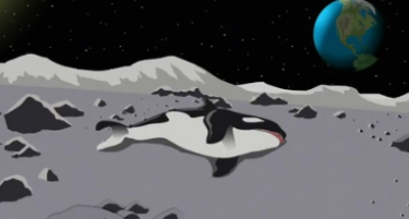 Plantilla de meme dead orca