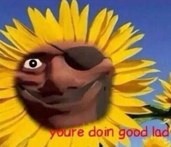 Demo sunflower meme template