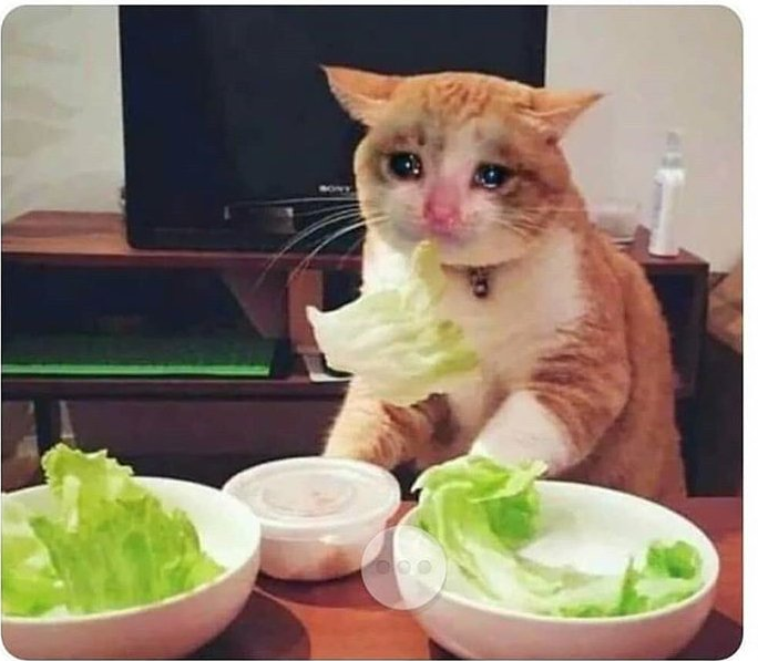 Plantilla de meme Dieta é ruim