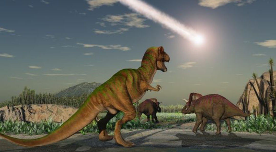 Plantilla de meme Dinosaurs meteor