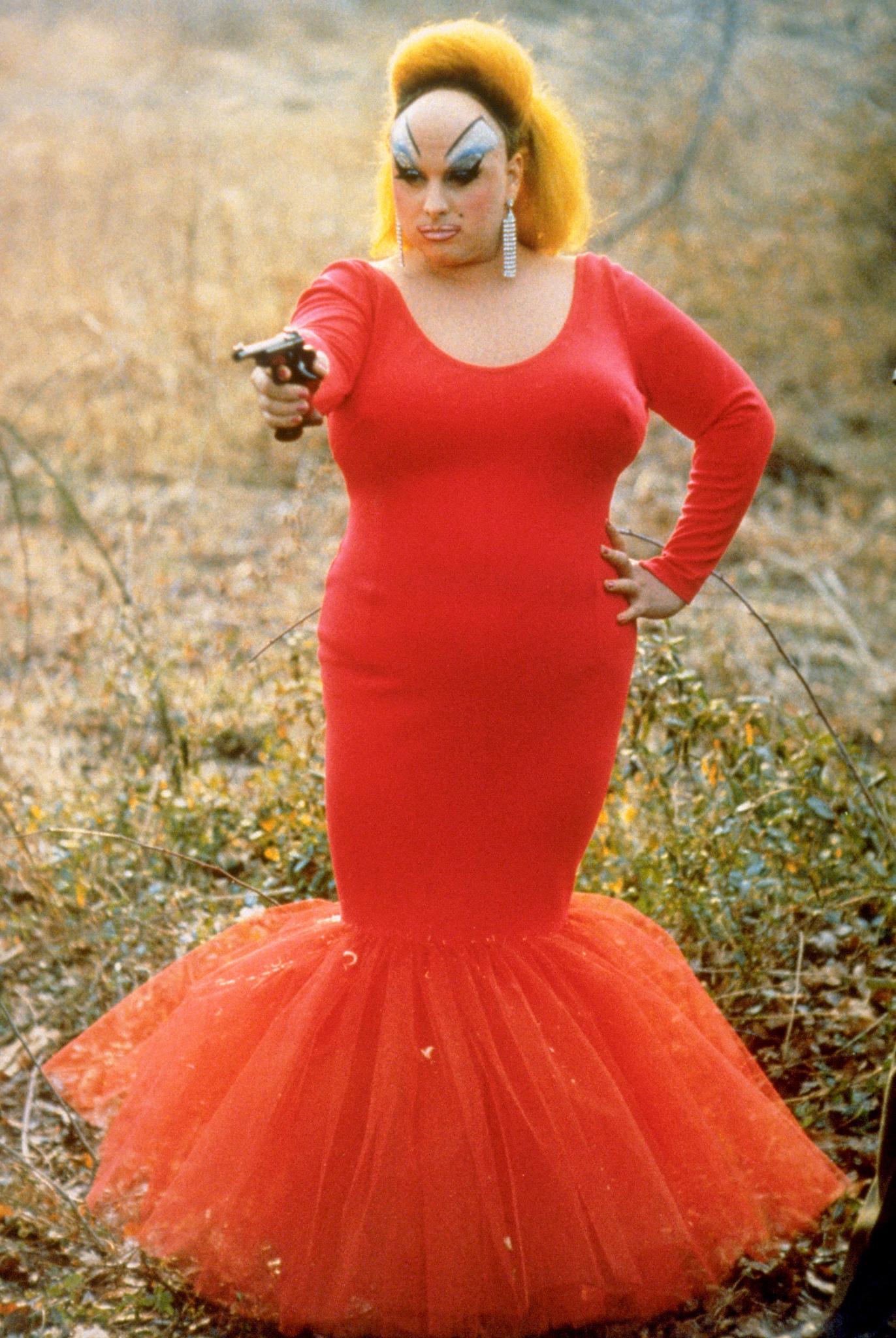 Plantilla de meme Divine - Pink Flamingos